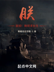 朕，崇祯！挽明求长生