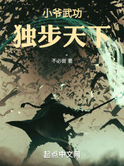 小爷武功独步天下
