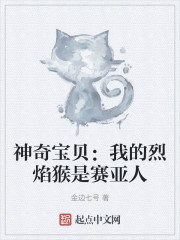 神奇宝贝：我的烈焰猴是赛亚人