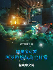 精灵宝可梦之阿罗拉岛主悠哉日常