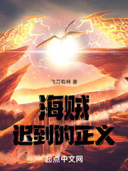 海贼：迟到的正义
