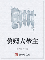 赘婿大帮主