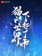 猫的世界下起了雨