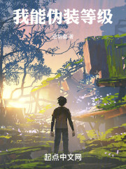 我能伪装等级