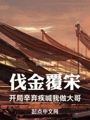 伐金覆宋：开局辛弃疾喊我做大哥