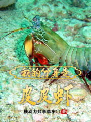 我的分身是皮皮虾