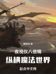 夜视仪八倍镜，纵横魔法世界