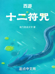 西游：十二符咒