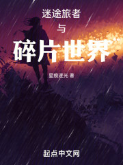 迷途旅者与碎片世界