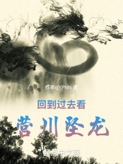 回到过去看营川坠龙