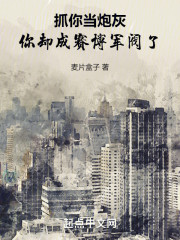 抓你当炮灰，你却成赛博军阀了