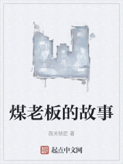 煤老板的故事
