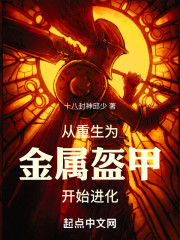 从重生为金属盔甲开始进化