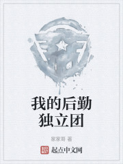 我的后勤独立团