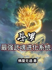 斗罗：最强武魂进化系统
