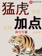 猛虎有加点面板