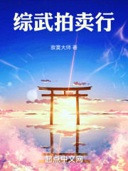 综武拍卖行
