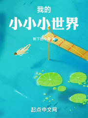 我的小小小世界