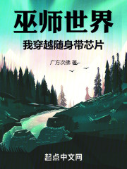 巫师世界，我穿越随身带芯片