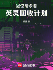 型月：冠位暗杀者的次元旅行