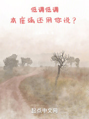 低调低调，本座强还用你说？