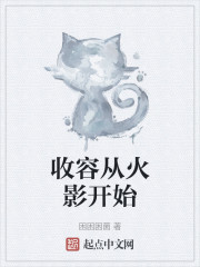 收容从火影开始