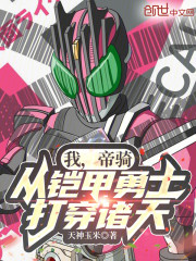 我，帝骑，从铠甲勇士打穿诸天！