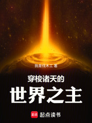 穿梭诸天的世界之主