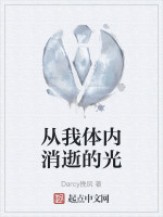 从我体内消逝的光在线阅读