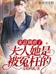 宋总别虐了，夫人她是被冤枉的！