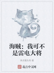 海贼：我可不是雷电大将