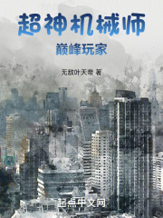 超神机械师：巅峰玩家