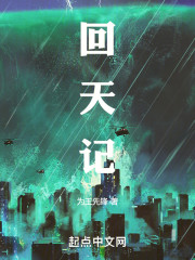 回天记