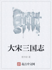 大宋三国志