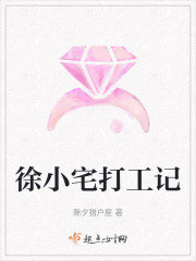 徐小宅打工记