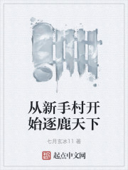 从新手村开始逐鹿天下