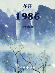 重生1986：我真的很稳健