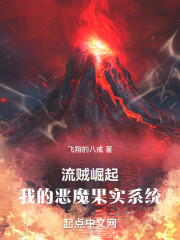 流贼崛起：我的恶魔果实系统