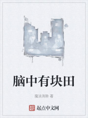 脑中有块田
