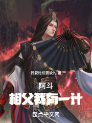 阿斗：相父我有一计