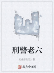 刑警老六