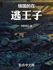 锦国的在逃王子