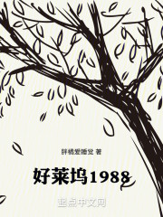 好莱坞1988