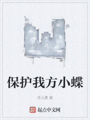 保护我方小蝶