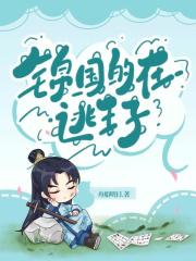 锦国的在逃王子