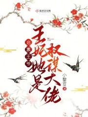 启禀王爷：王妃她是权谋大佬