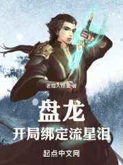 盘龙：开局绑定流星泪