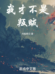 我才不是叛贼