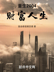 重生2004：财富人生