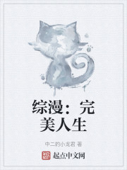 综漫：完美人生